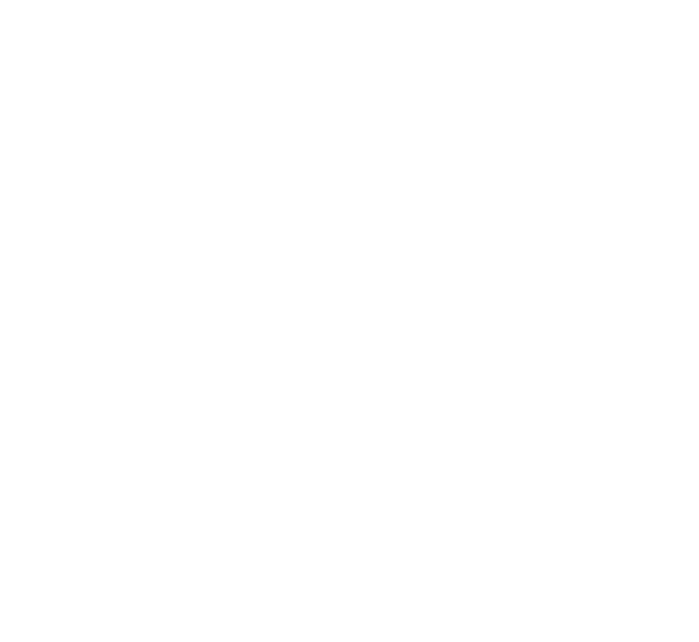 MicroNet Global