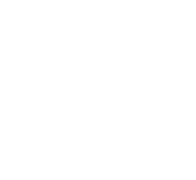 MicroNet Global